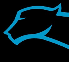 Blue Cheetah Sports Timing, LLC