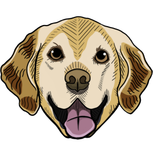 Happy Pace Timing, LLC